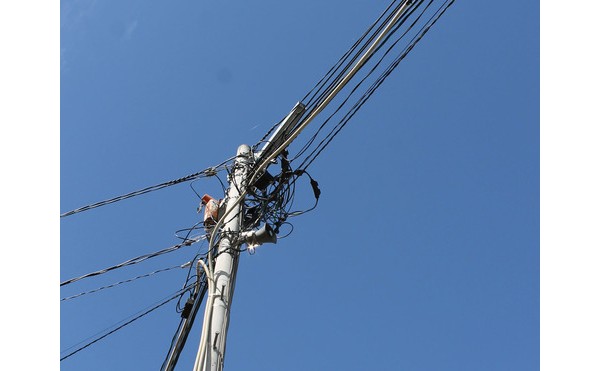 Jazzの流れる牧場♪