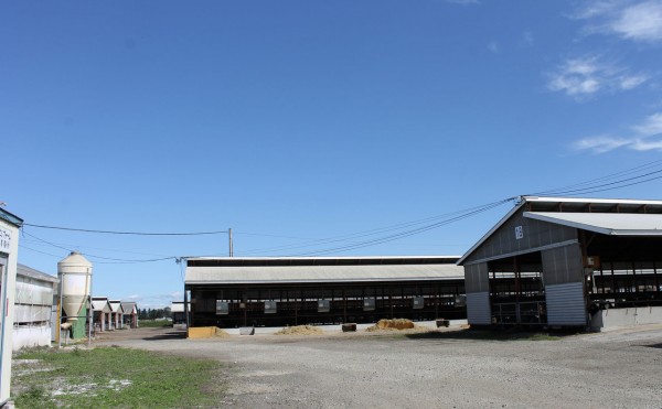 雨のち晴れの週初め