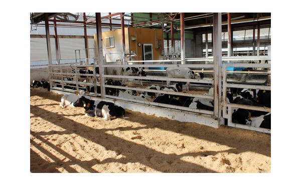 陽射しを避けて