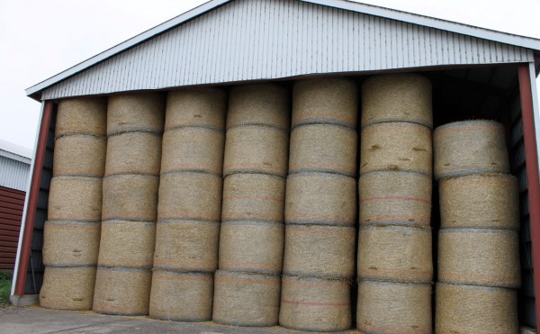 倉庫にぎっしり