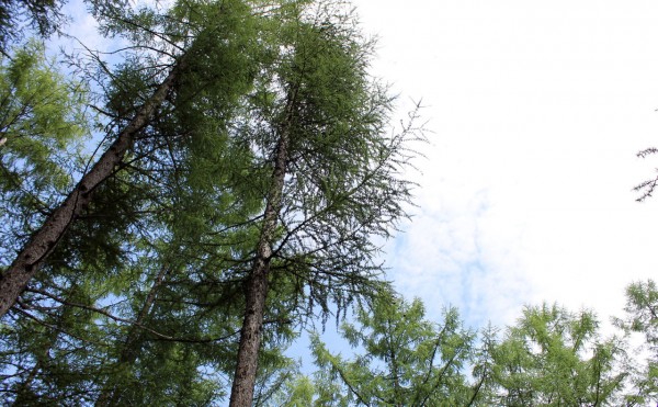 ちょっと晴れ間