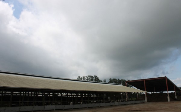晴れのち曇り、時々雨