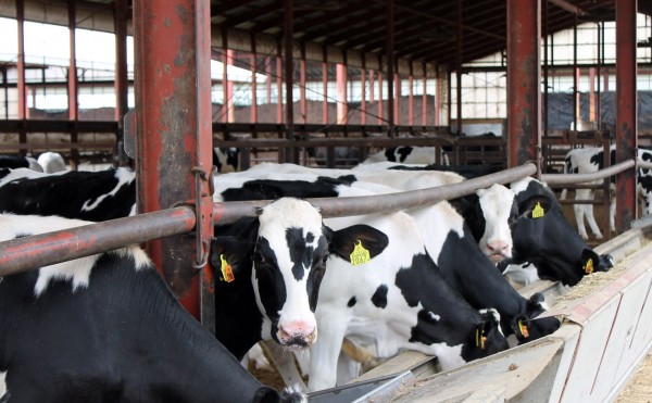 気温差10度以上