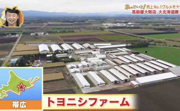 テレビに出ました！