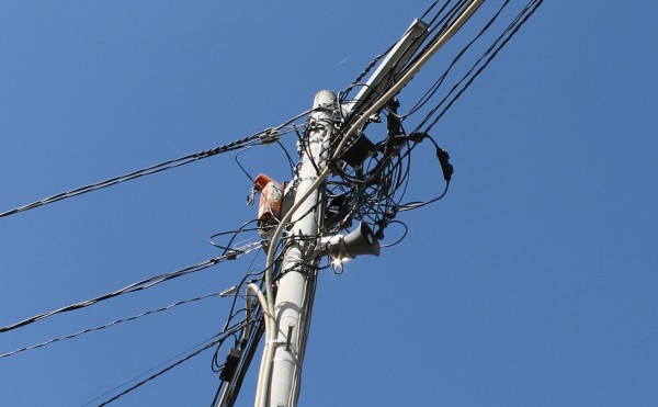 JAZZの流れる牧場