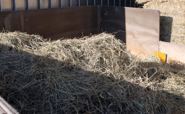 ふかふかの麦わら