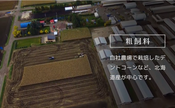 動画をご覧ください