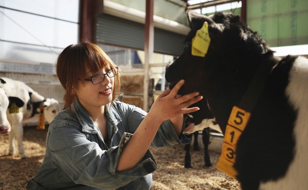 ポスター用に撮影した写真