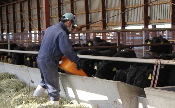 姿を見れば寄って来る♪