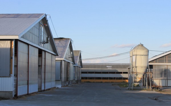 扉を閉めるようになりました