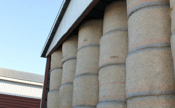 小麦ロールがどっさり