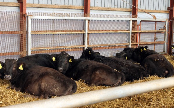 同方向を向いて