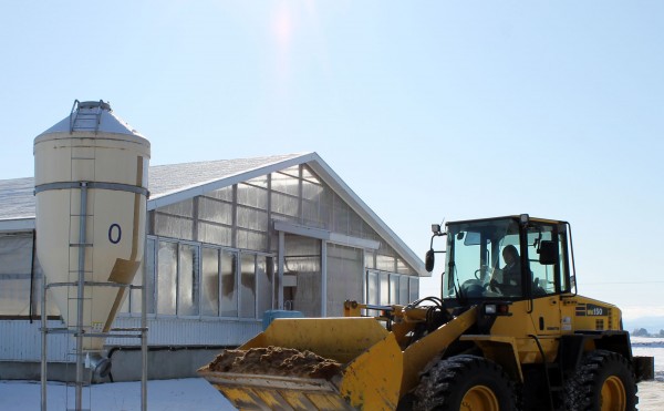 活躍するショベルカー