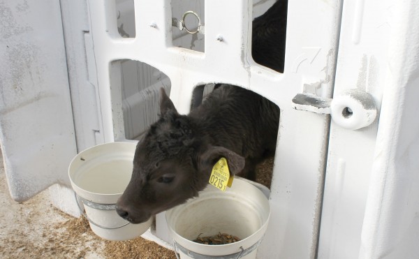 赤ちゃん大集合