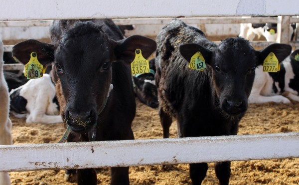 ちょっと小さいかな