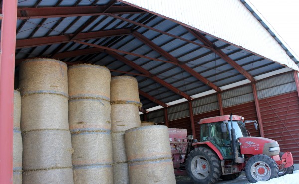 牧草ロールの備蓄