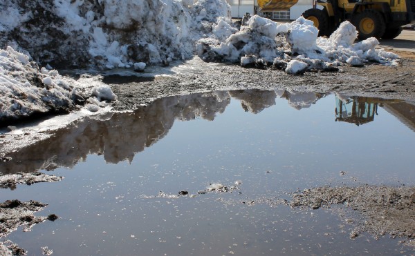 雪解けが進みます