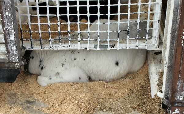 出られそうで出られない