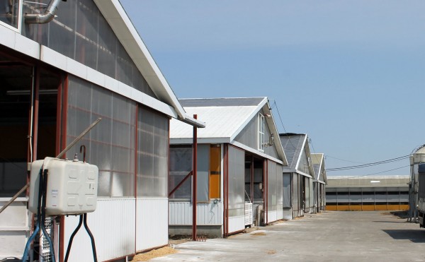 冬のあと片付け