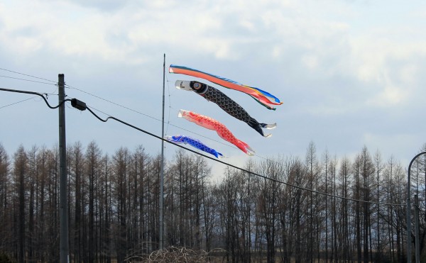 屋根より高い♪