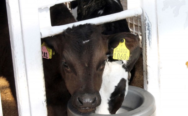 水分補給しましょう♪