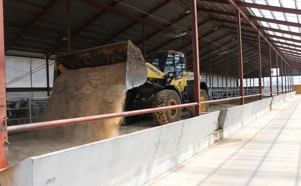 おがくずの敷き方