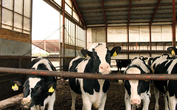 上から見るか下から見るか