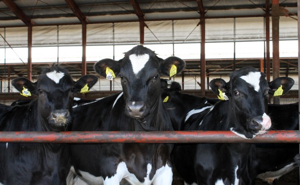 不機嫌なわけではありません