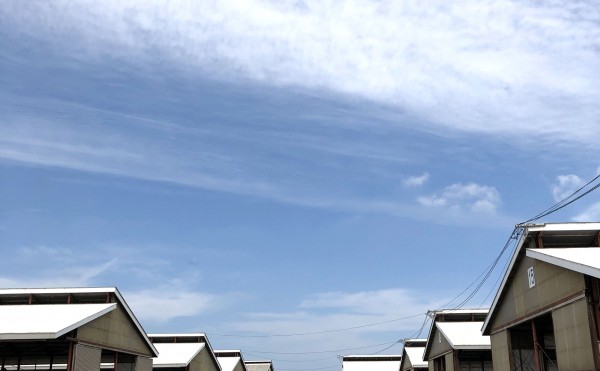 久しぶりの太陽