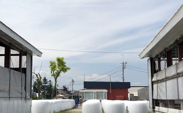 12時になりました