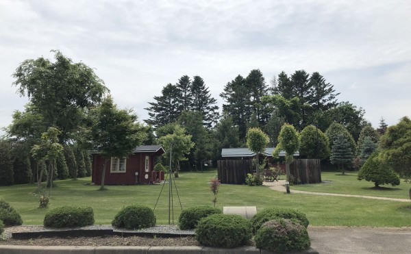 焼肉ハウスと庭