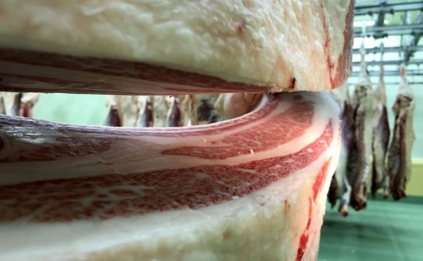 香港に輸出します！