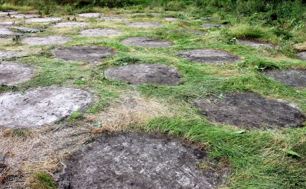 ミステリーサークル…？