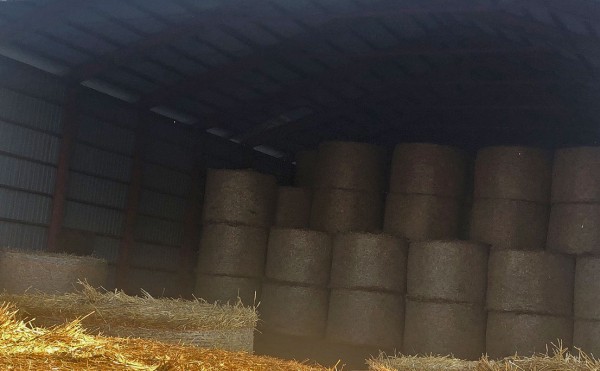 麦稈ロール製作中