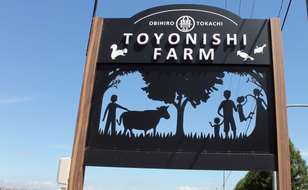 青空に映える看板