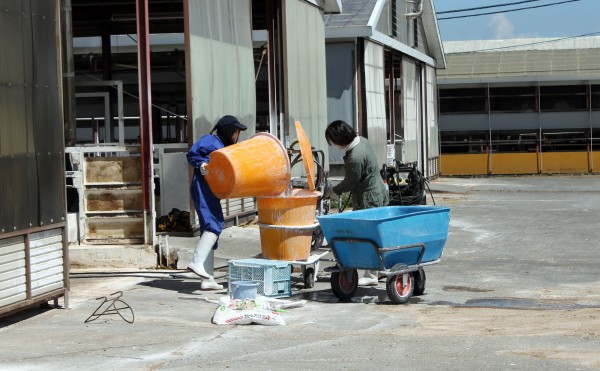 石灰塗布の準備