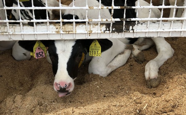 出れそうで出れない