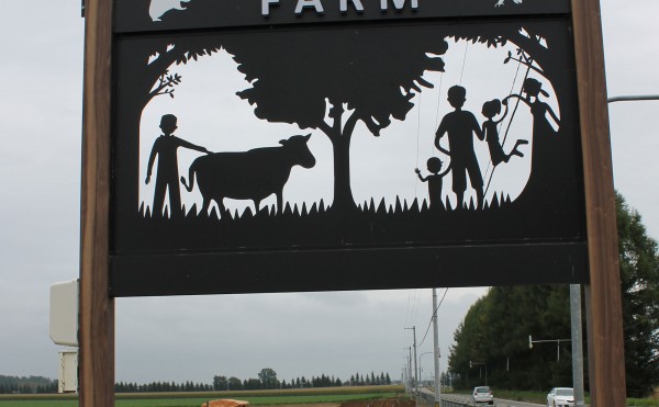 ニンニク植え付け完了