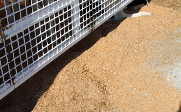 おがくずサラサラ