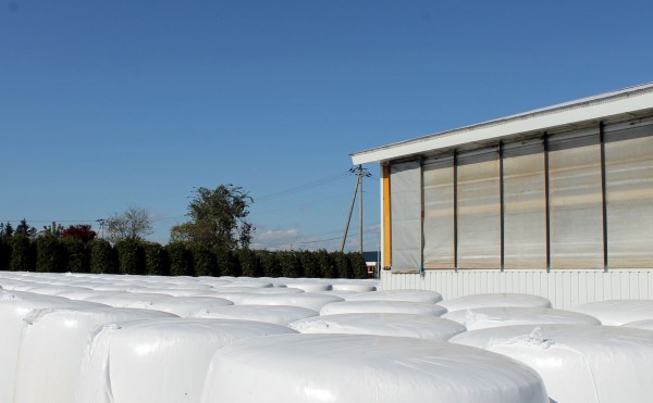 ラップサイレージ