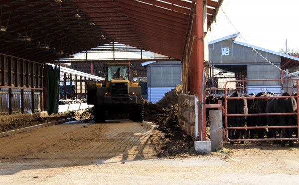おがくず入れ替え