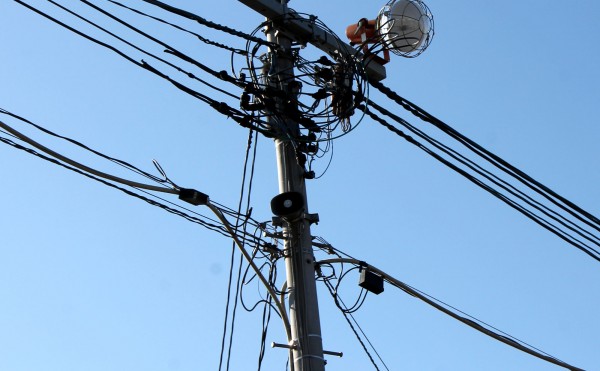 Jazzの流れる牧場