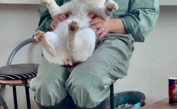 スタッフのアイドル