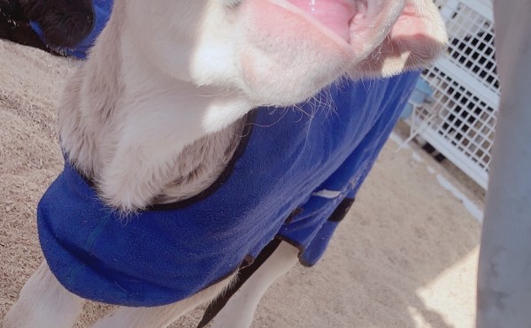 あかねちゃんのお気に入り♡