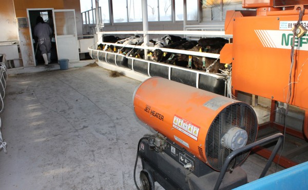 器用なスタッフ