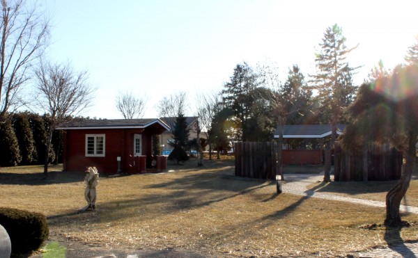 秋のような光景