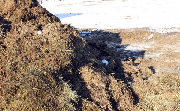 デントコーンが変身