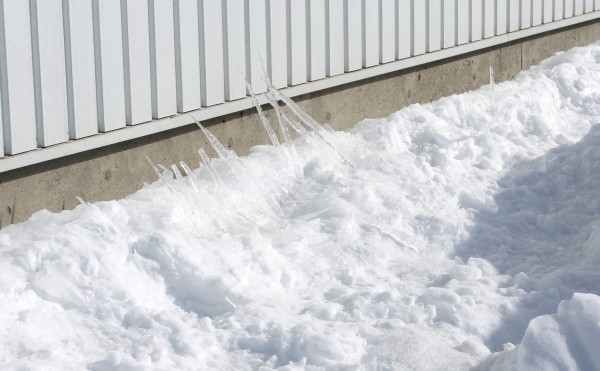 ツララのその後