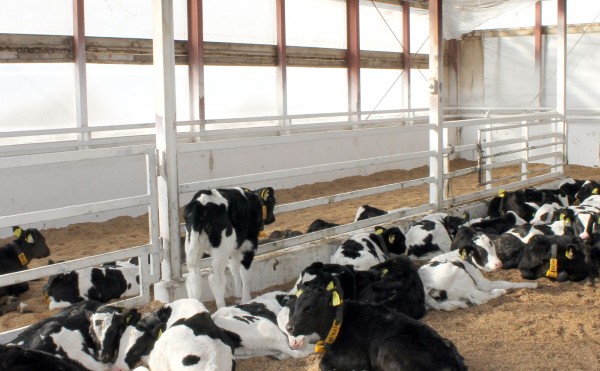 阻まれた行く手