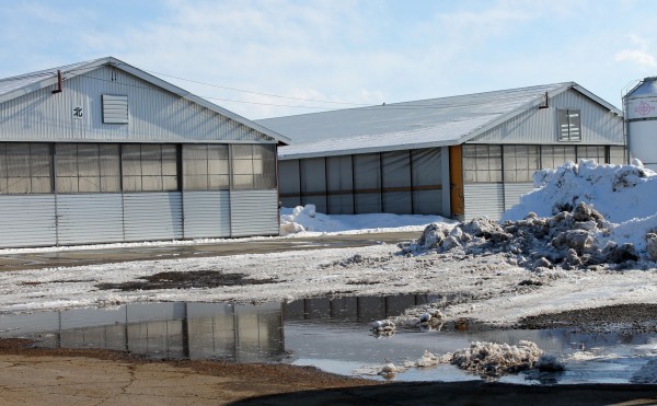 雪のち水たまり